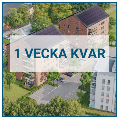 Bildtext saknas