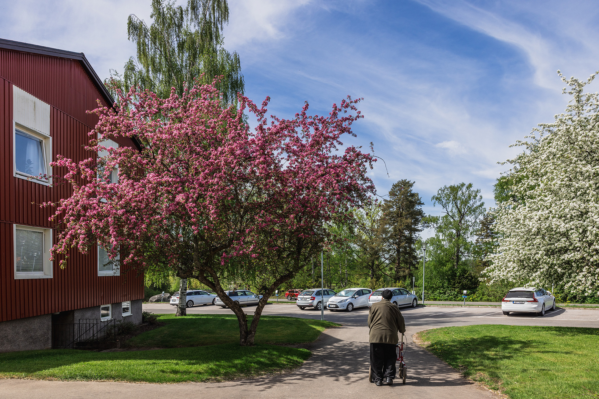 Vårbild.