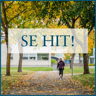 Bildtext saknas